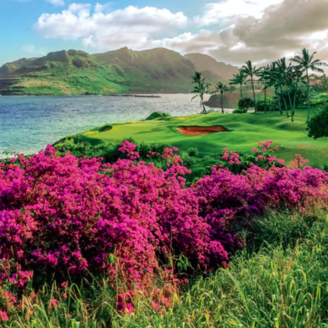 Spring Newsletter 2021